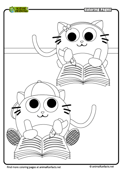 Cat Writing