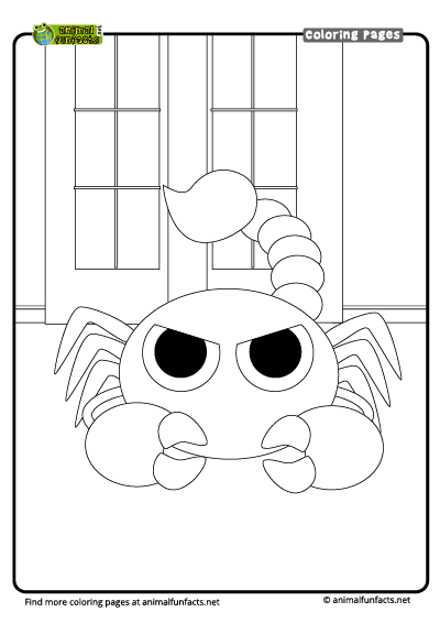 Coloring Page Scorpion