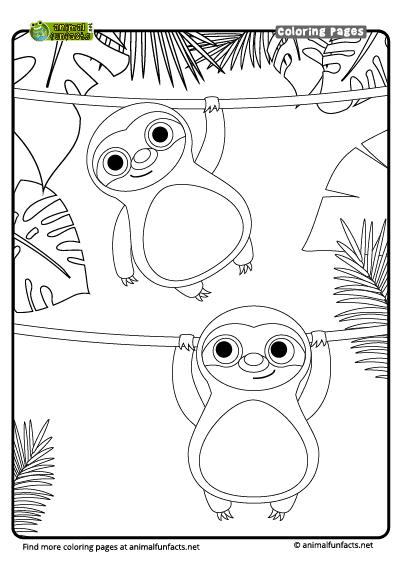 Coloring Page Sloth