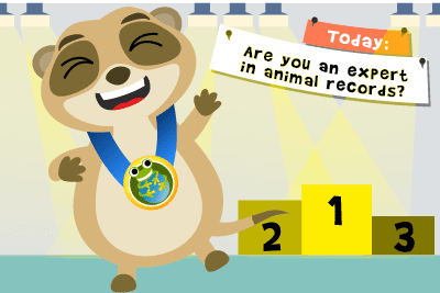 Animal Record Quiz