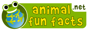 animalfunfacts.net - The Animal Encyclopedia for Kids