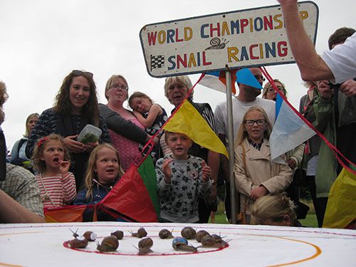 Snail Racing